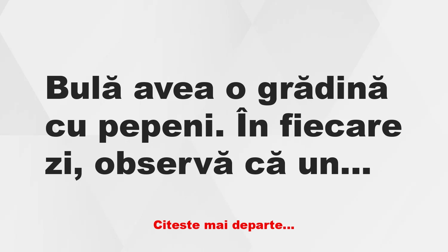Banc: Bulă și pepenii Banc: Bulă și pepenii
