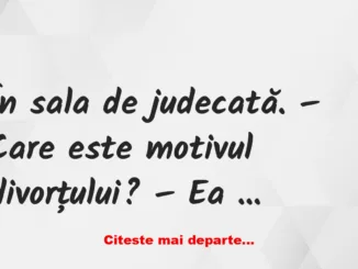 Banc: – Care este motivul divorțului? – Ea m-a numit prostănac…