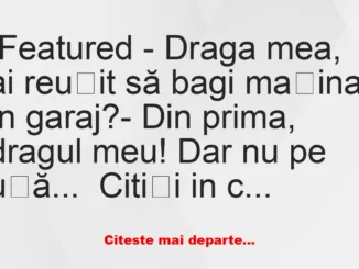 Banc: Cum a băgat o femeie mașina în garaj