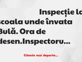 Banc: Inspecție la școala unde învață Bulă