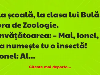 Banc: La ora de Zoologie: – Numește o insectă
