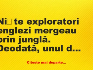 Banc: Niște exploratori dau peste un leu Banc: Niște exploratori dau peste un leu