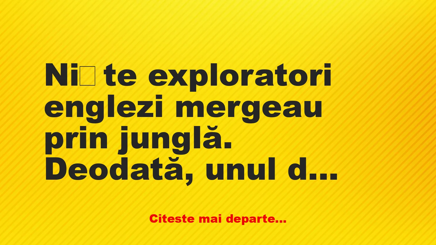 Banc: Niște exploratori dau peste un leu Banc: Niște exploratori dau peste un leu