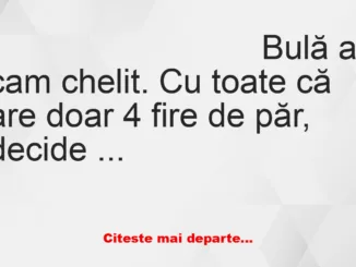 Banc: Bulă a cam chelit: – Cum ai vrea să te aranjez?