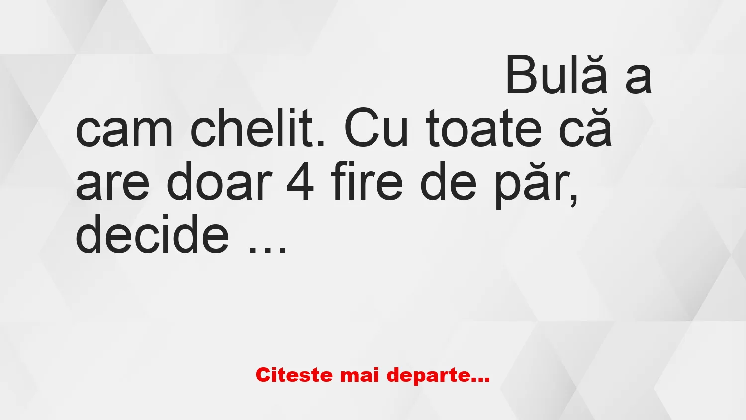 Banc: Bulă a cam chelit: – Cum ai vrea să te aranjez?