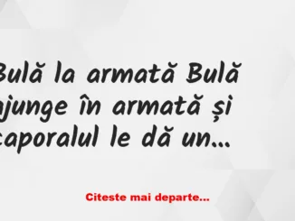 Banc: Bulă ajunge în armată și caporalul le dă un exercițiu