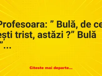 Banc: Bulă: – Mama este la spital şi tata la secţia de poliţie!