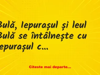 Banc: Bulă se întâlnește cu un iepuraș speriat