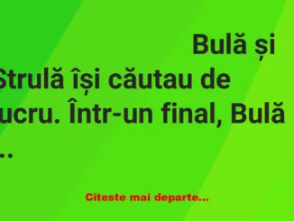 Banc: Bulă și Ștrulă sunt șomeri