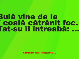 Banc: Bulă vine de la școală cătrănit foc