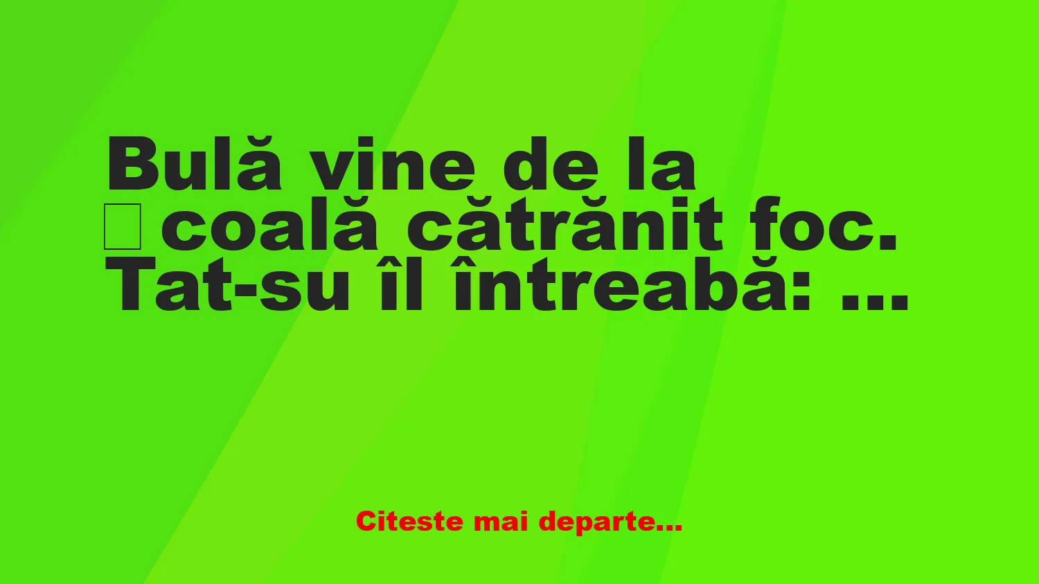 Banc: Bulă vine de la școală cătrănit foc