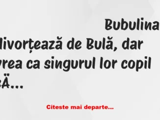 Banc: Bulă vrea copilul, la divorţ