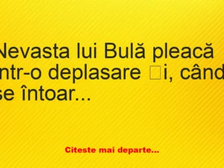 Banc: Nevasta lui Bulă găsește o pereche de bikini în dormitor