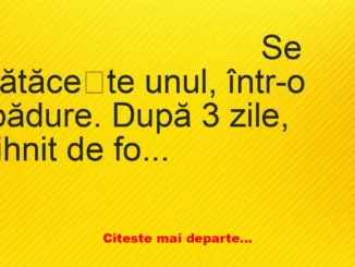 Banc: Un tip de rătăcește într-o pădure