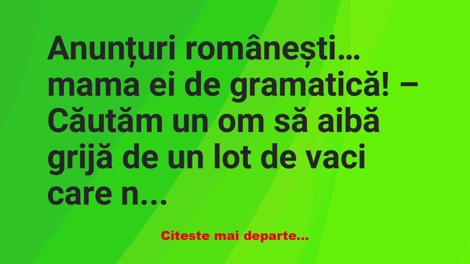 Banc: Anunțuri: – Căutăm un om să aibă grijă de un lot de vaci care…
