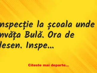 Banc: Bulă și inspectorul