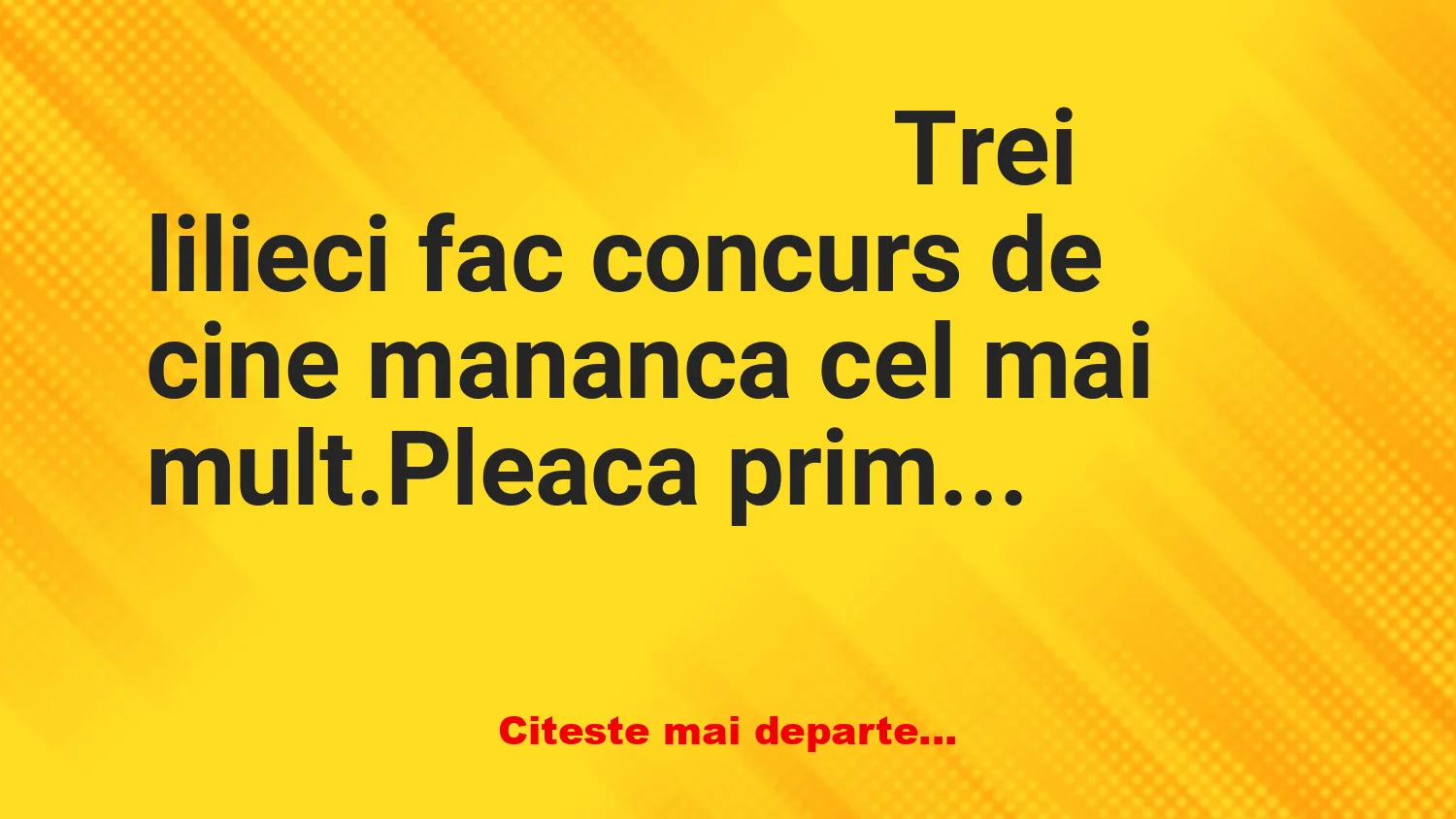 Banc: Trei lilieci se laudă cu prada
