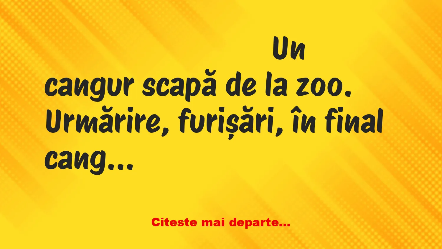 Banc: Un cangur scapă de la zoo