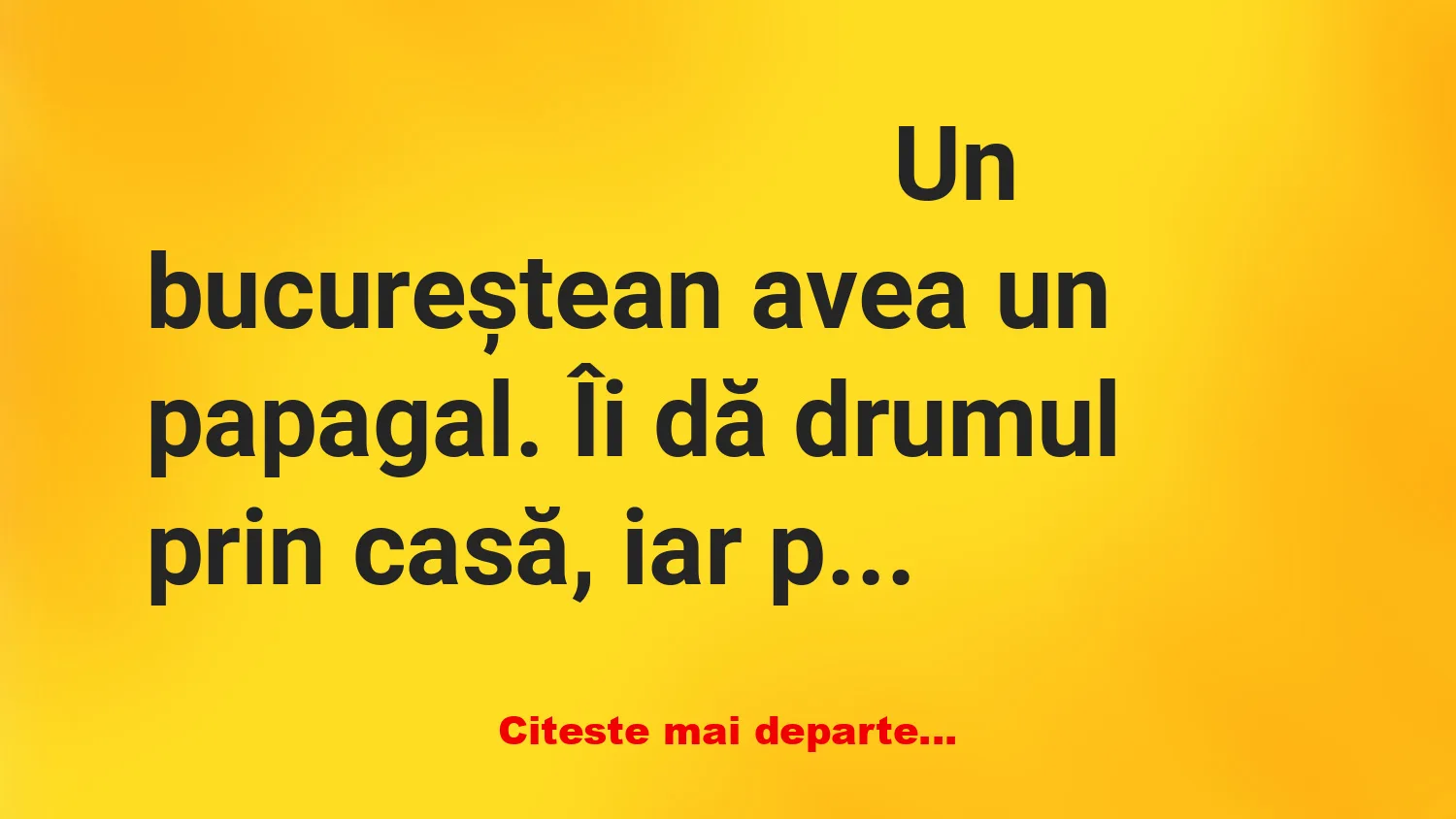 Banc: Un papagal găsește o pastilă de Viagra