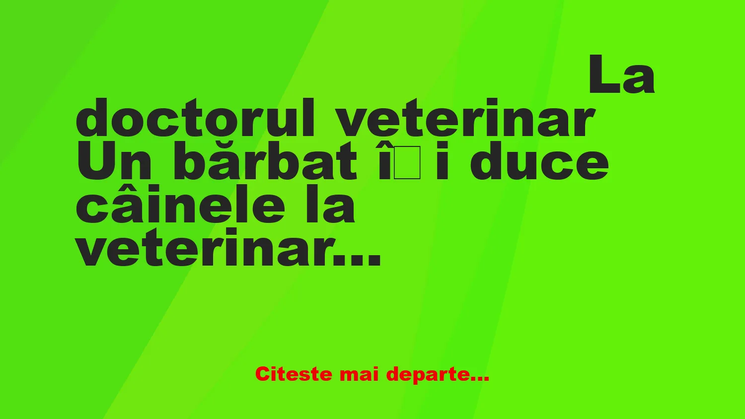 Banc: Un bărbat își duce câinele la veterinar: Nu mai răspunde la nimic!