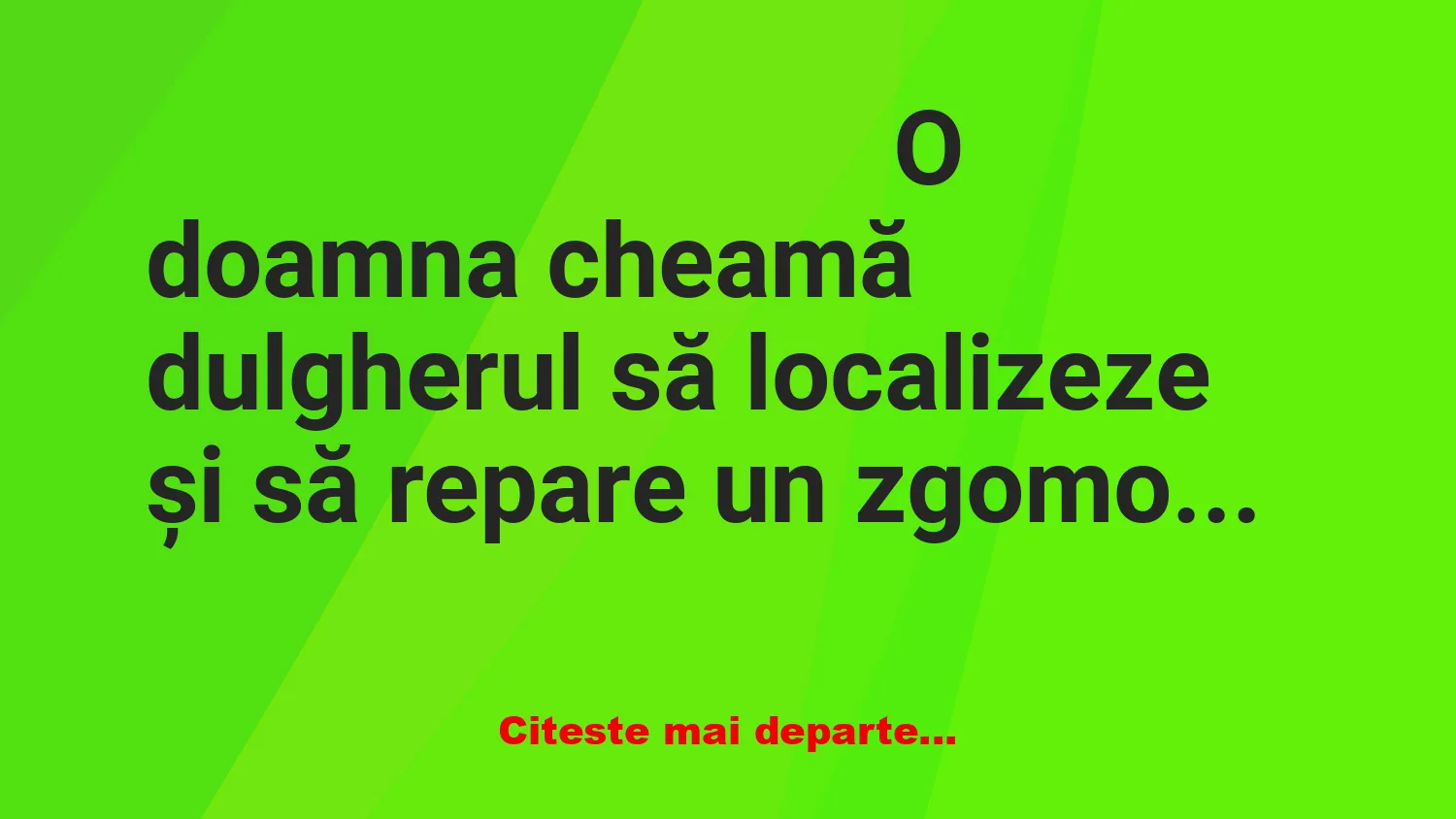 Banc: O doamna cheamă meseriașul