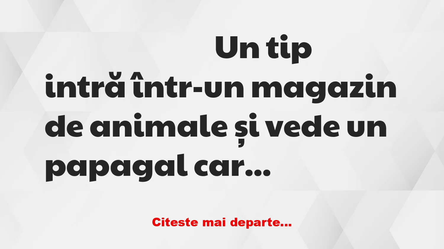 Banc: Papagalul care costă 50 de lei
