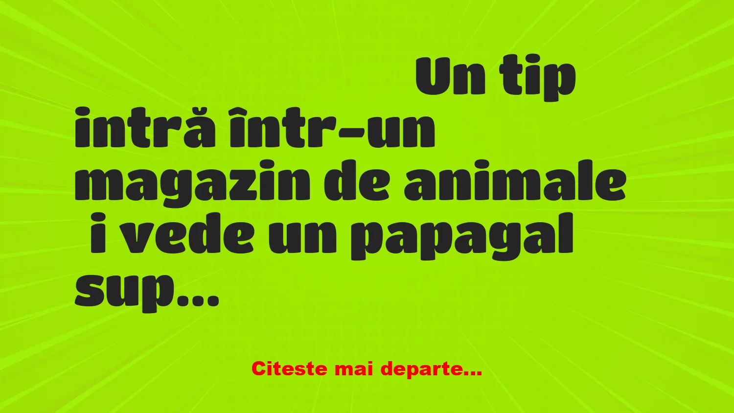 Banc: Profesorul și papagalul vorbitor