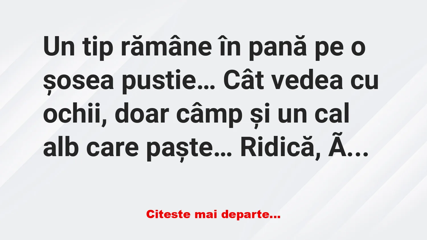 Banc: Un cal face pe mecanicul auto