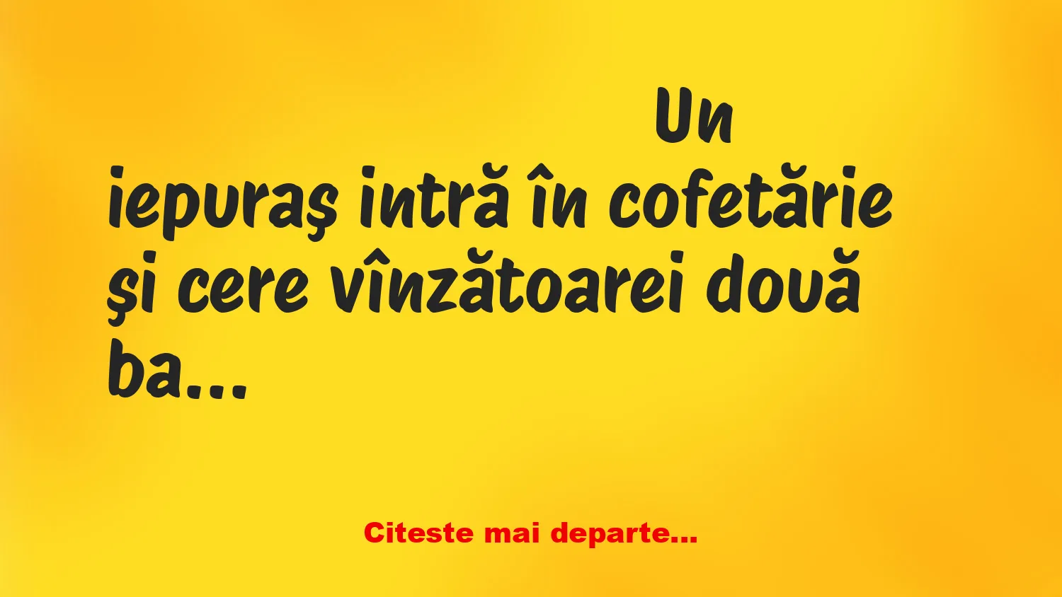 Banc: Un iepuraş intră în cofetărie