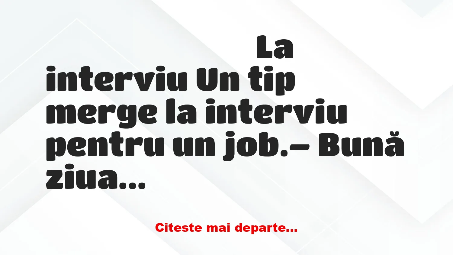 Banc: – Am fost manager la o firmă mare