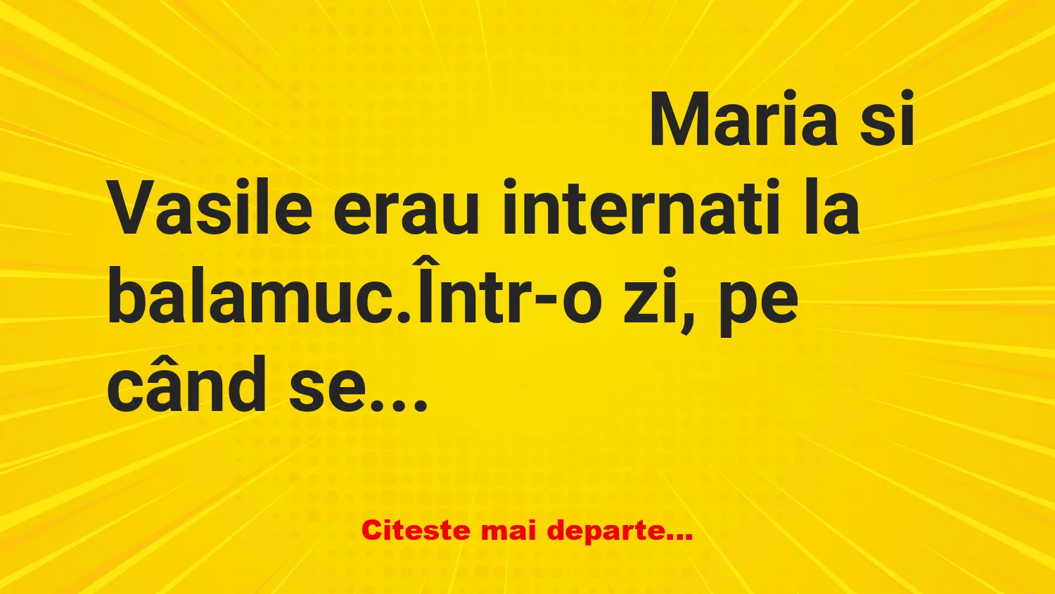 Banc: Maria si Vasile erau internati la balamuc
