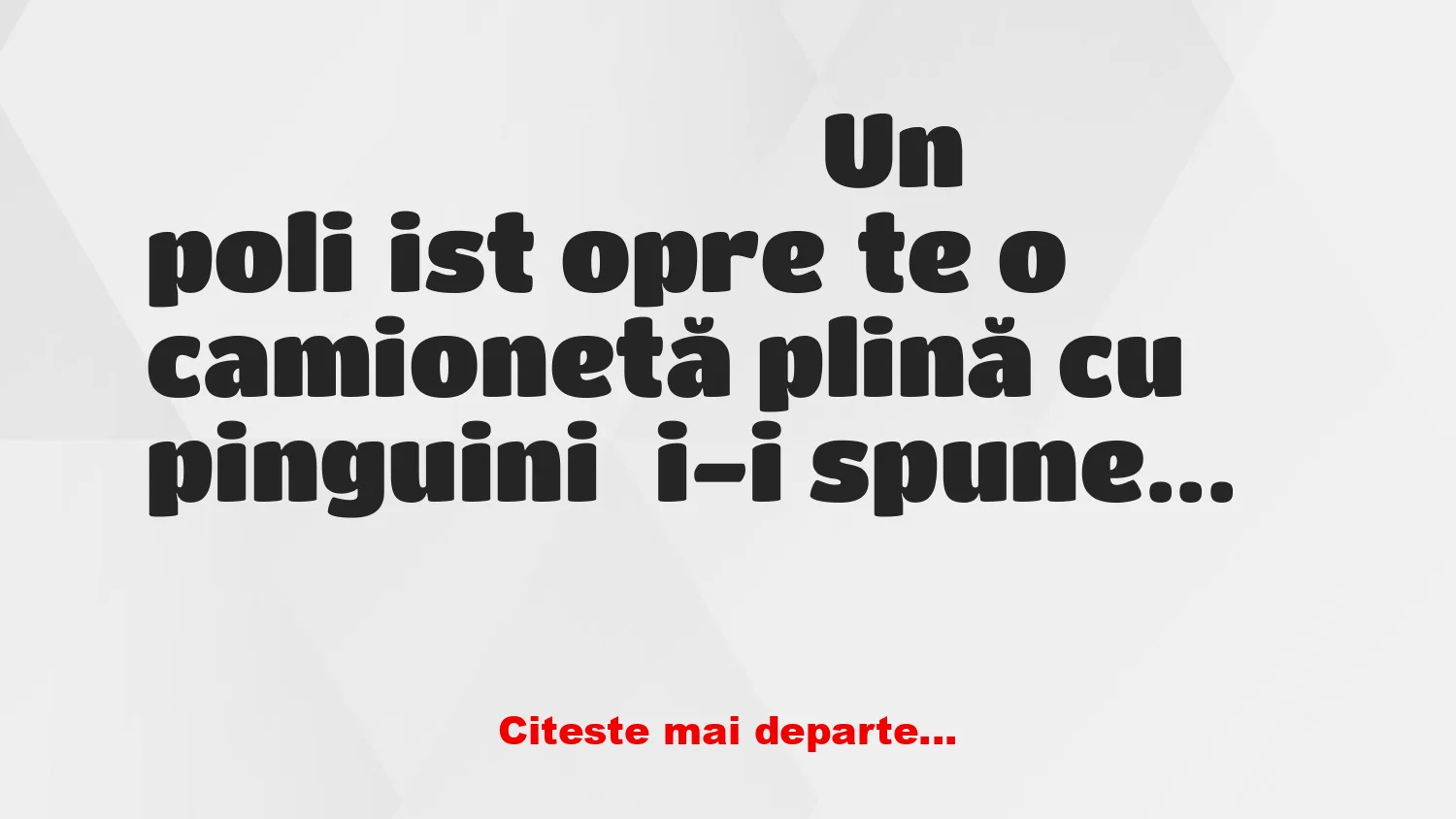 Banc: Un polițist oprește o camionetă plină cu pinguini