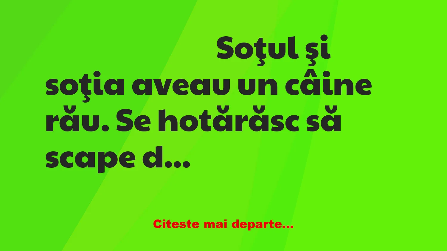 Banc: Câinele care se întoarce mereu acasă