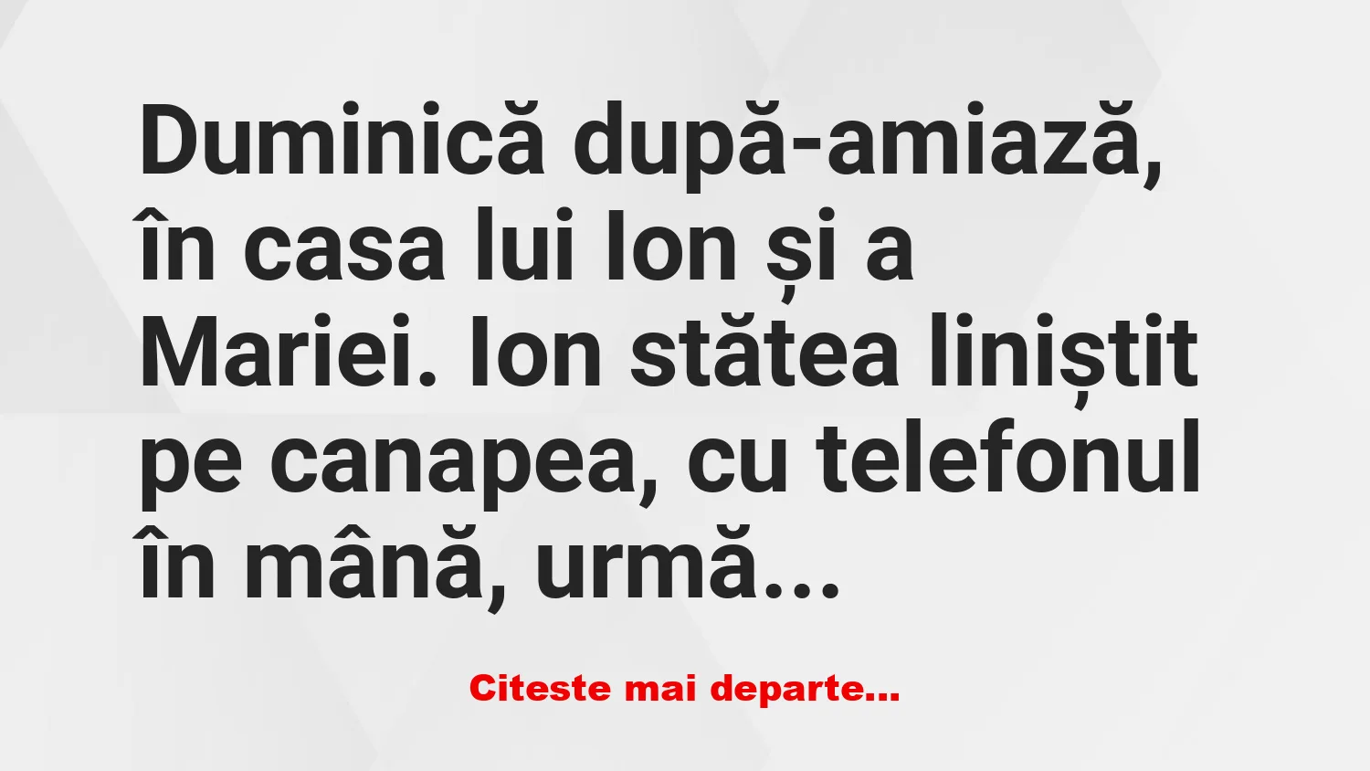 Banc: Ioane, nu merge netul! –