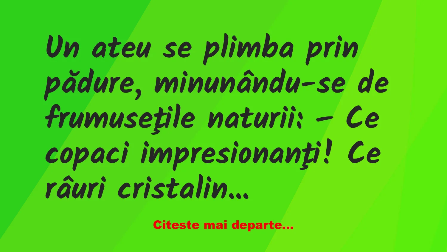 Banc: Un tip e atacat de urs