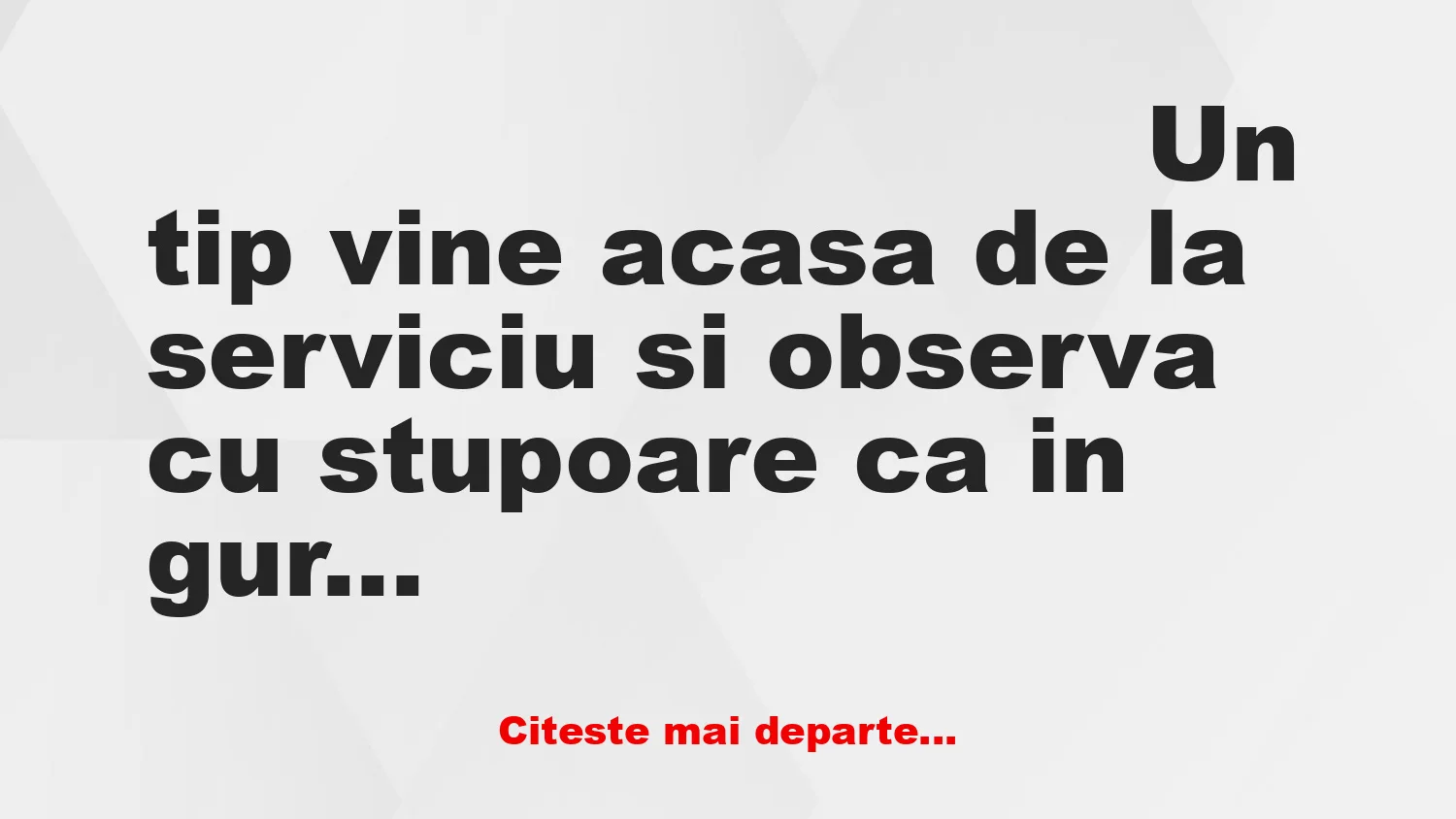 Banc: Un tip găsește iepurașul vecinilor în gura câinelui