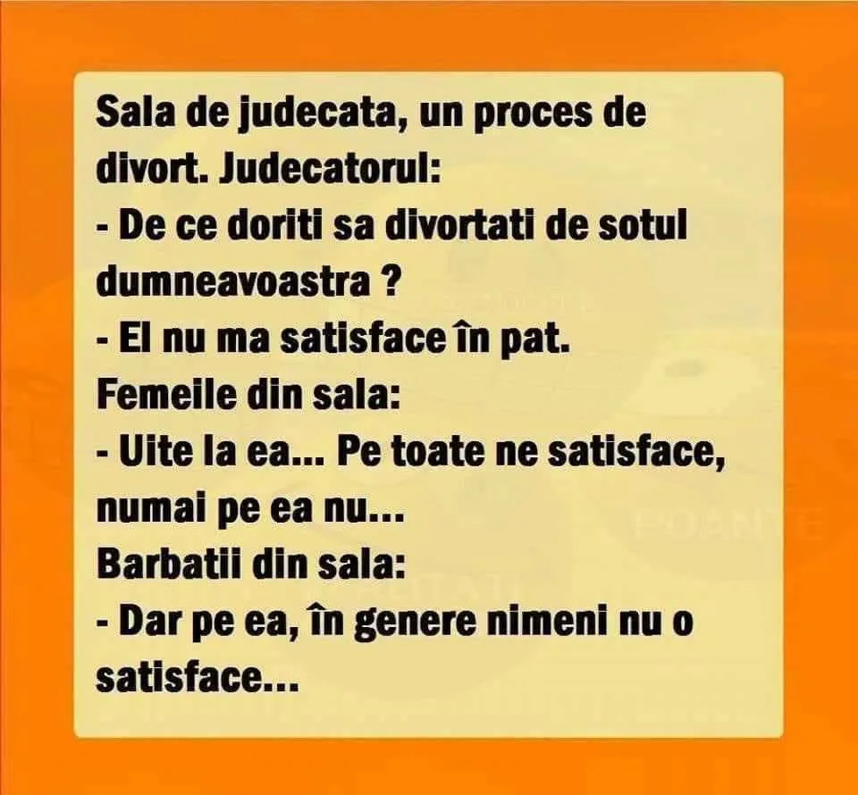 Sala de judecata, un proces de divort...