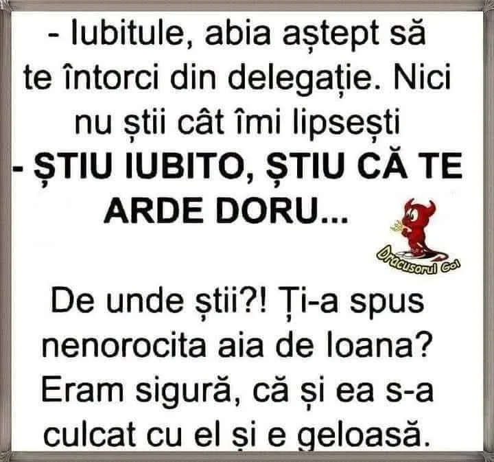 Iubitul e, abia aștept să te întorci din delegație...