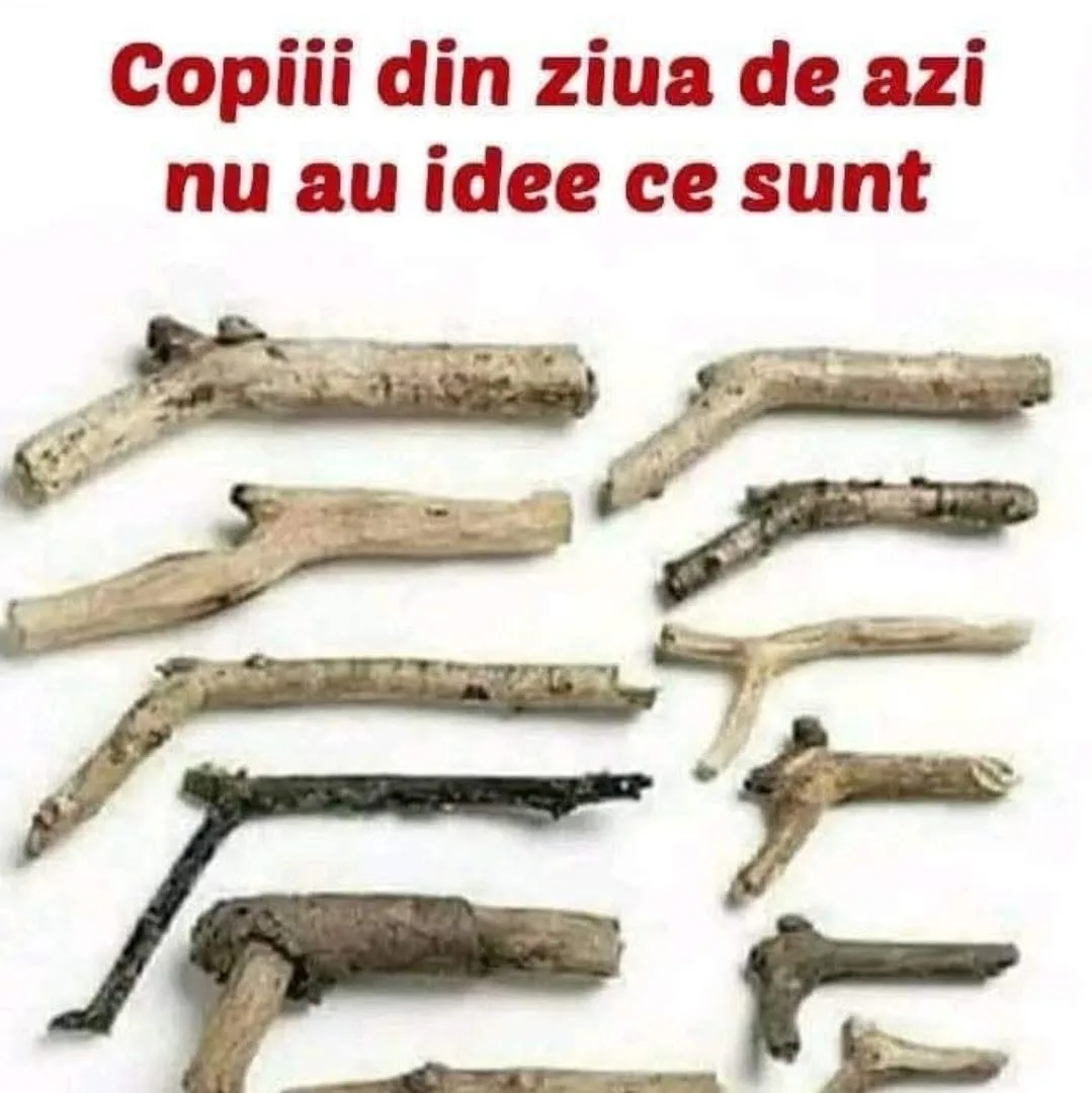 Știți ce sunt astea ?