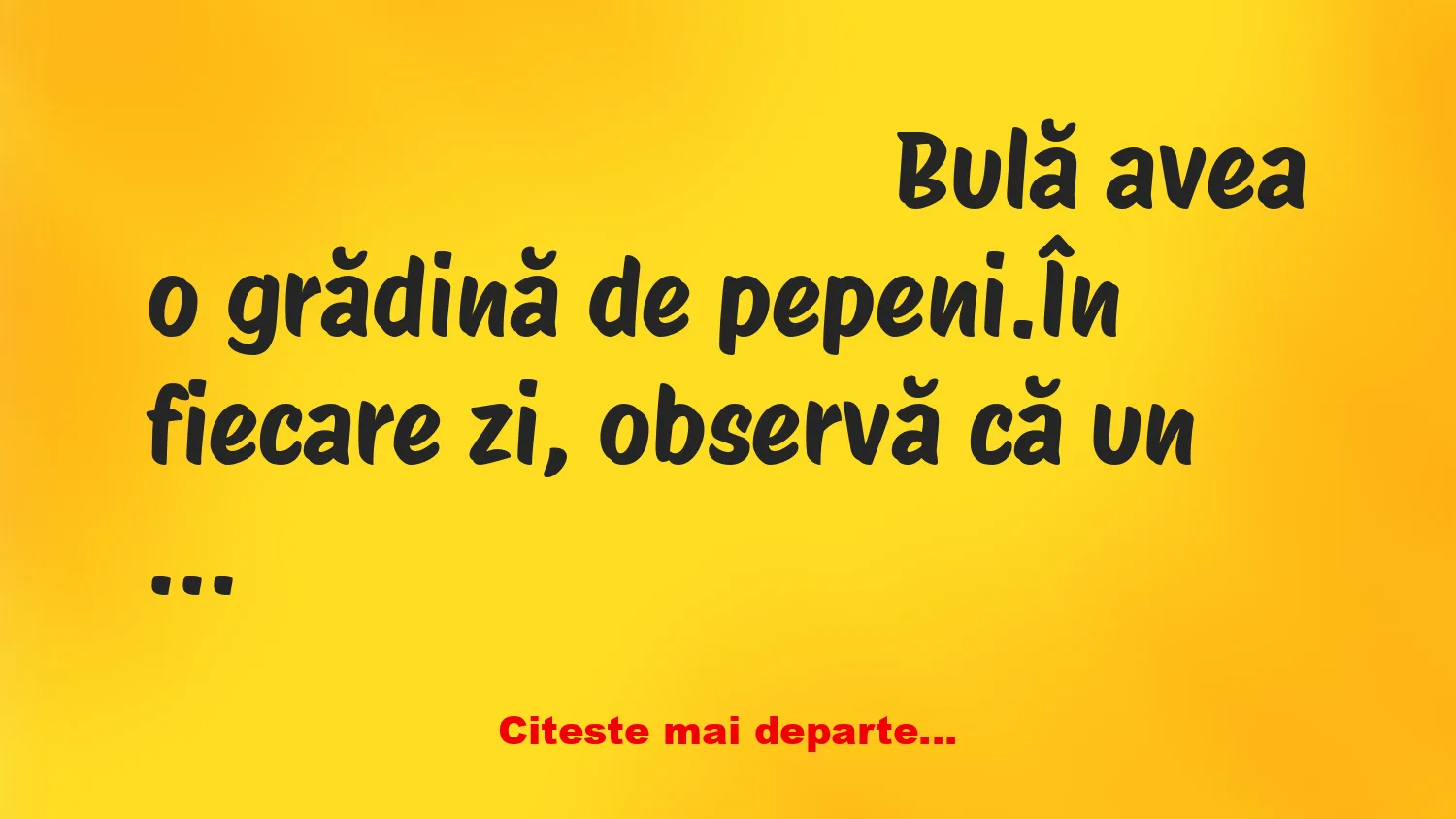 Banc: Bulă avea o grădină de pepeni