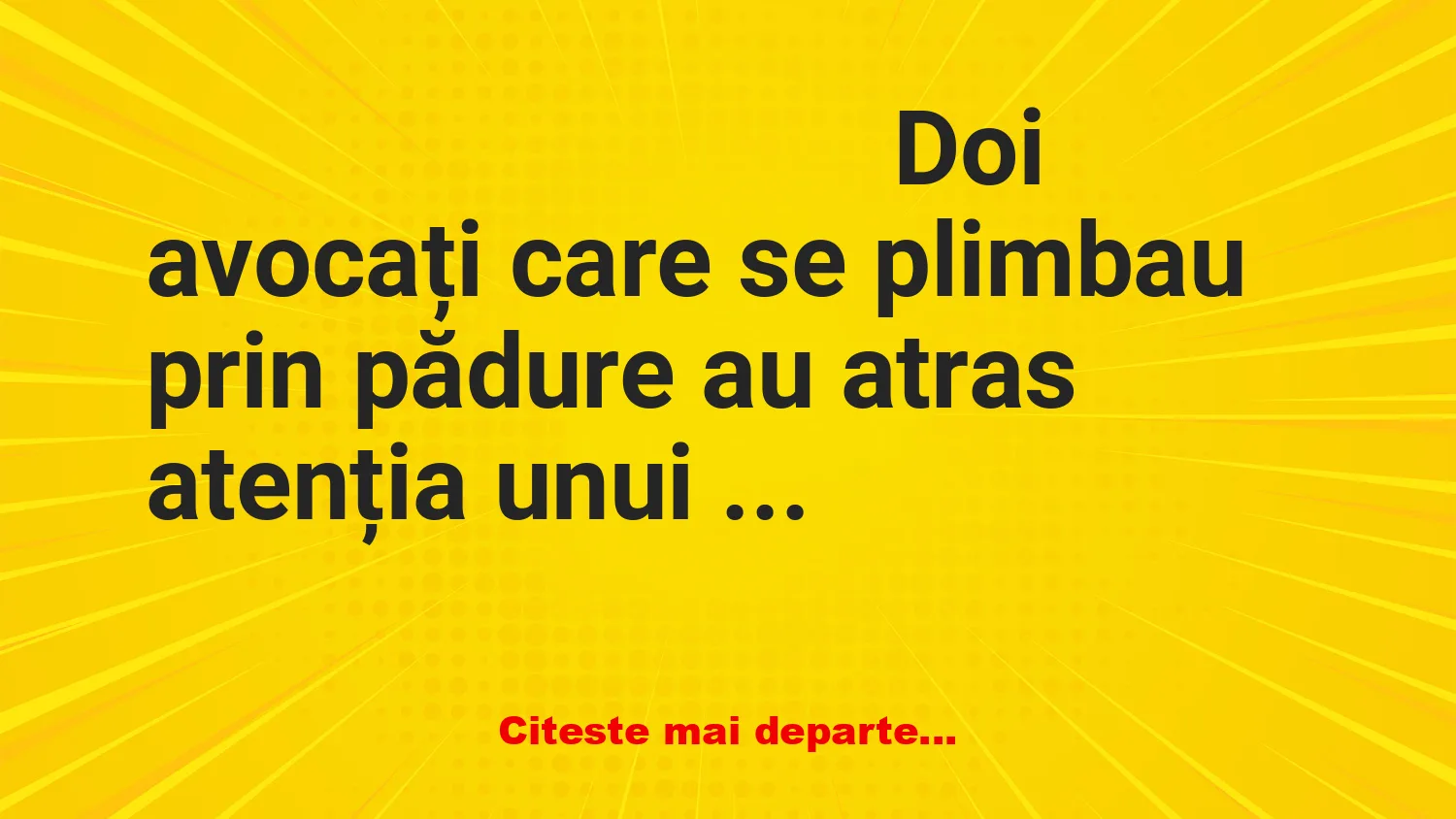 Banc: Doi avocați sunt atacați în pădure