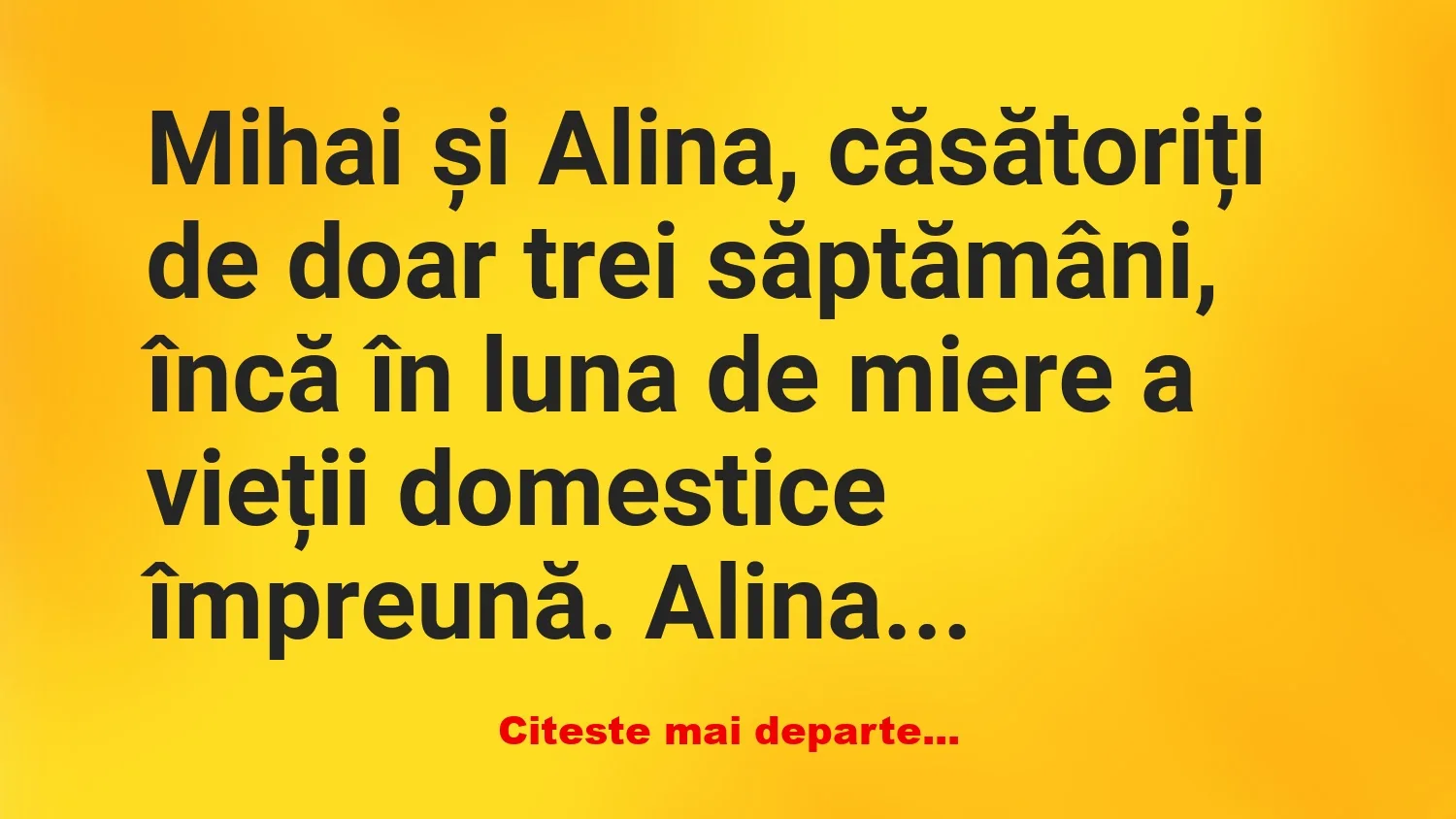 Banc: Iubito, ai zis că știi să gătești –