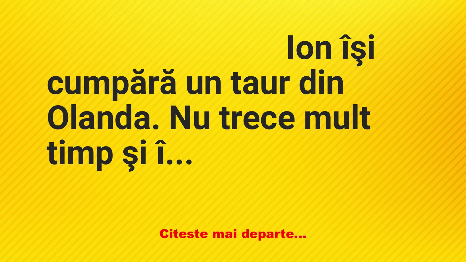 Banc: Un taur din Olanda face grevă