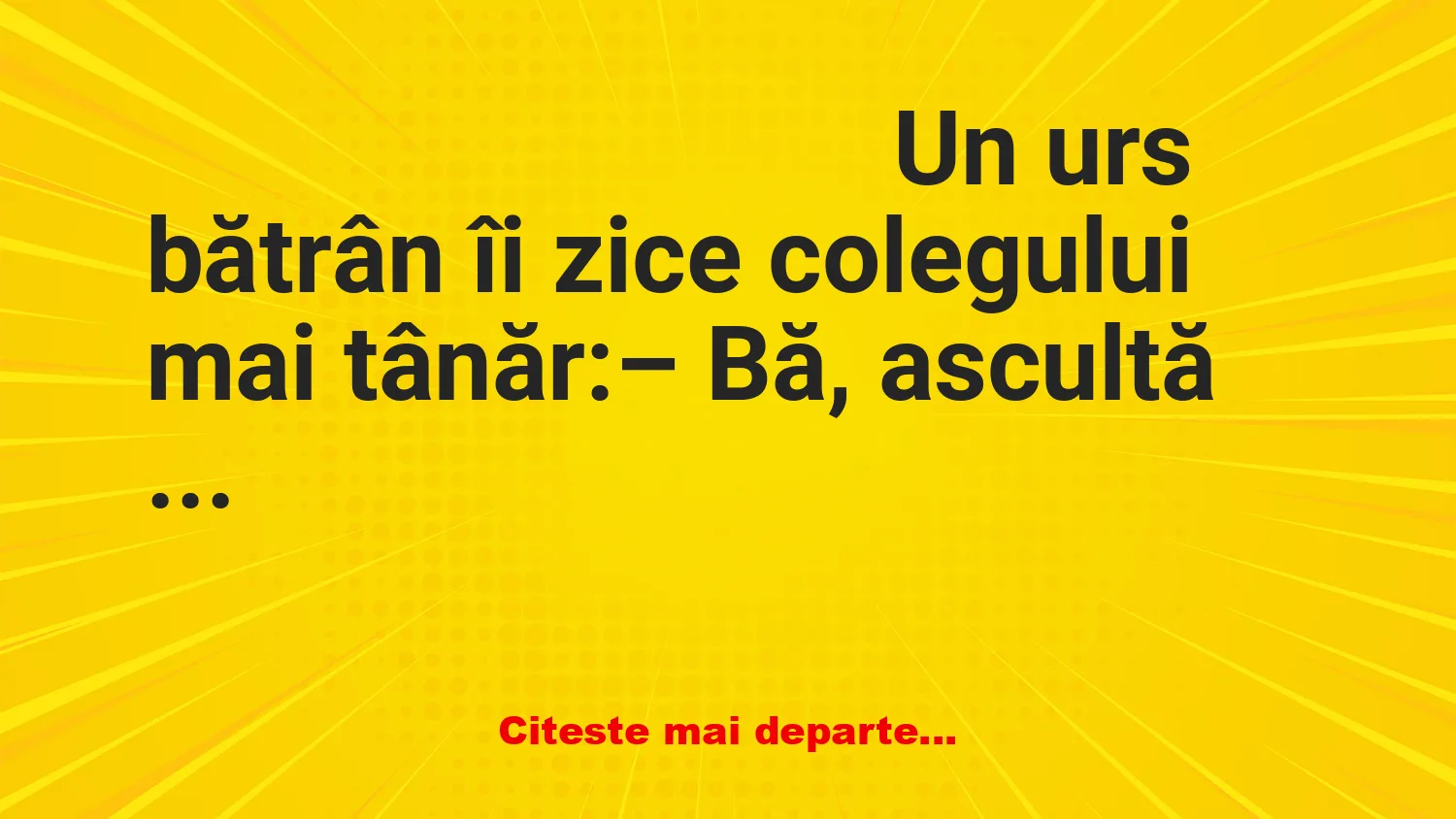 Banc: Un urs bătrân dă lecții