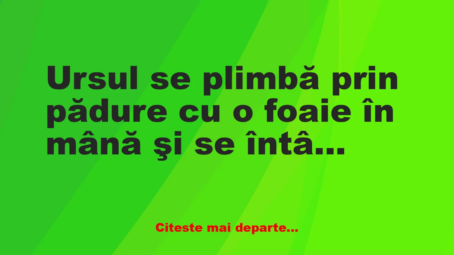 Banc: Ursul se plimbă prin pădure cu o foaie în mână