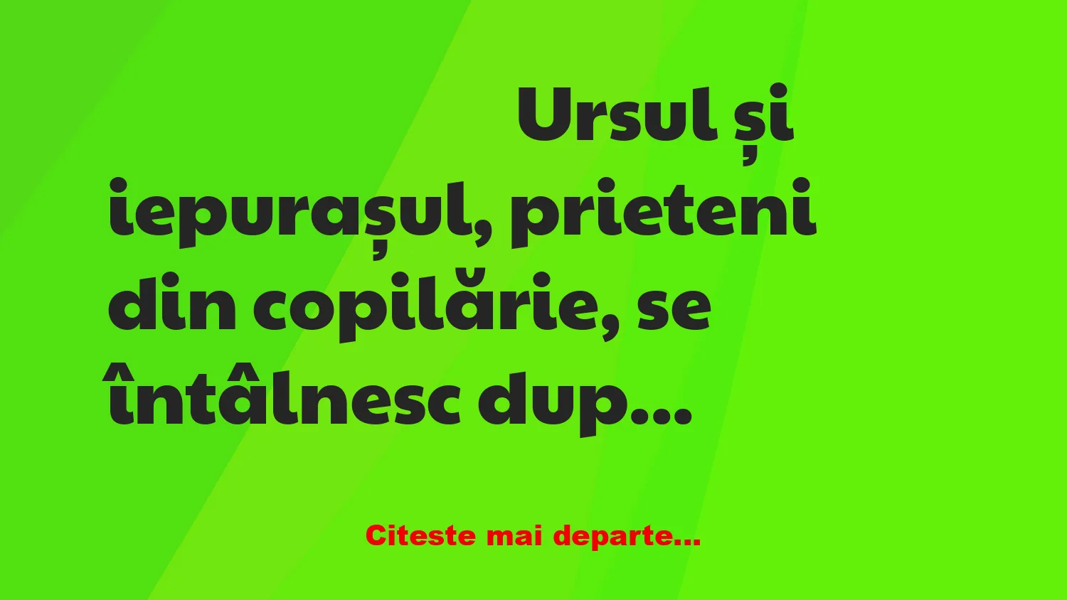 Banc: Ursul și iepurașul, prieteni din copilărie, se întâlnesc după mulți…