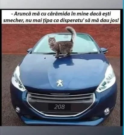 Aruncă mă cu cărămida în mine dacă ești șmecher...