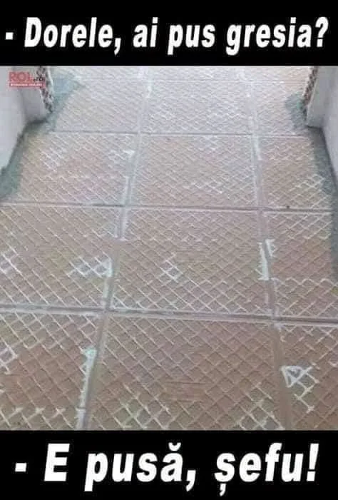 Dorele, ai pus gresia?
