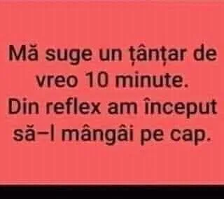 Mă suge un tântar de vreo 10 minute...