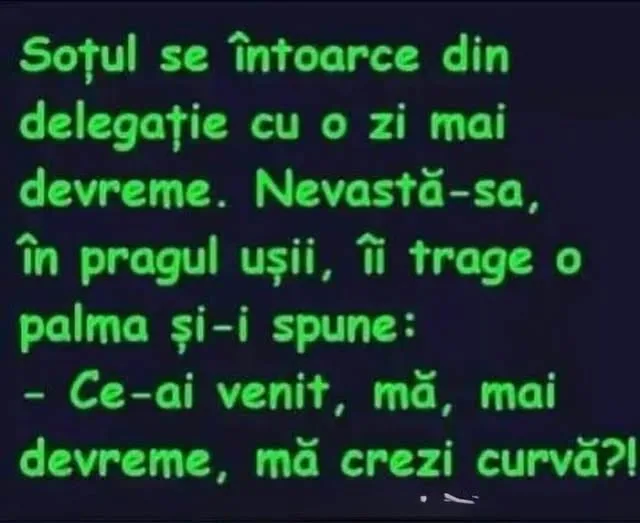 Soțul se întoarce din delegație cu o zi mai devreme...